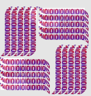 Bitvivid Solutions Pvt. Ltd.